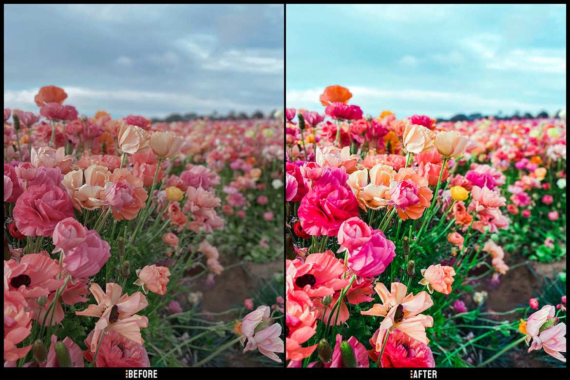 春季清新风格照片后期处理LR预设和LUT预设 Spring Lightroom Presets and LUTs插图3 春季清新风格照片后期处理LR预设和LUT预设 Spring Lightroom Presets and LUTs