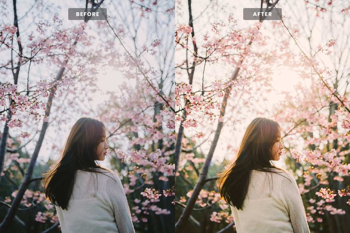 樱花季节氛围照片后期处理 Lightroom 预设和 Photoshop 动作 Sakura Lightroom Presets and Actions插图1 樱花季节氛围照片后期处理 Lightroom 预设和 Photoshop 动作 Sakura Lightroom Presets and Actions