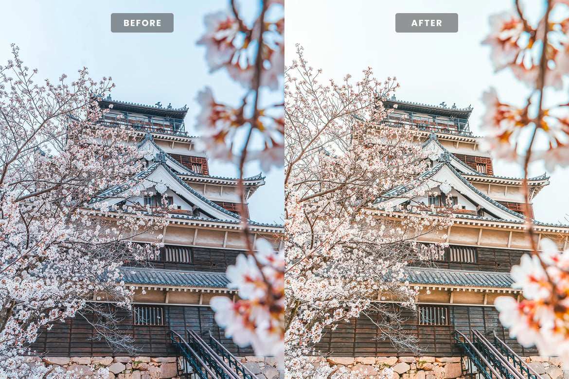 樱花季节氛围照片后期处理 Lightroom 预设和 Photoshop 动作 Sakura Lightroom Presets and Actions插图3 樱花季节氛围照片后期处理 Lightroom 预设和 Photoshop 动作 Sakura Lightroom Presets and Actions
