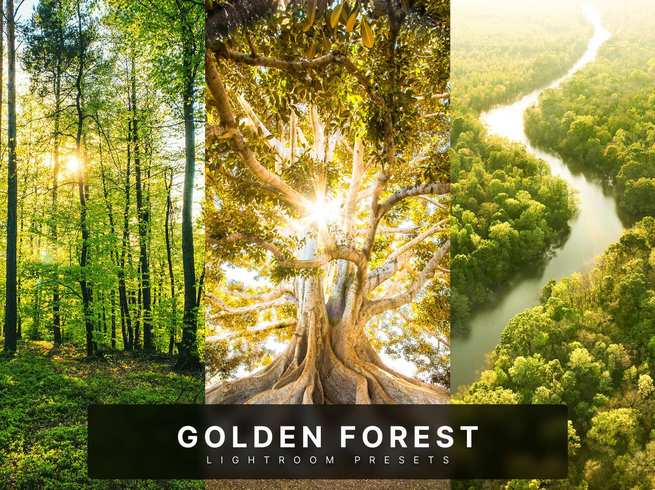 金色森林人像风景后期处理 Lightroom 预设和 Photoshop 动作 Golden Forest Lightroom Presets and Actions