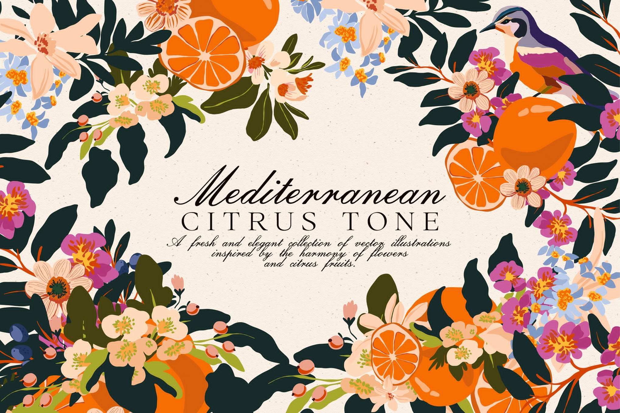 地中海柑橘水果矢量图形集 Mediterranean Citrus Vector Set插图 地中海柑橘水果矢量图形集 Mediterranean Citrus Vector Set