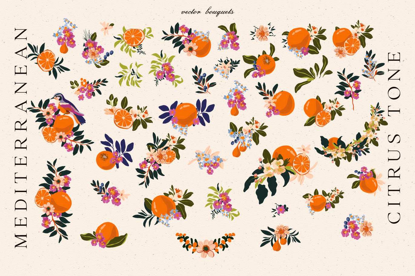 地中海柑橘水果矢量图形集 Mediterranean Citrus Vector Set插图2 地中海柑橘水果矢量图形集 Mediterranean Citrus Vector Set