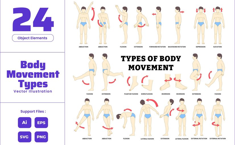 人体运动骨骼肌肉训练示意图 Body Movement Exercise Skeletal Muscle Training