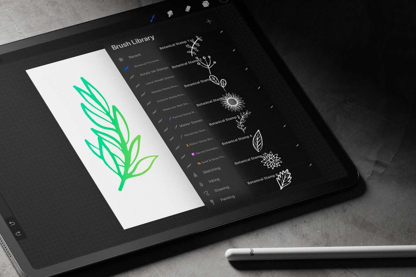 植物花卉主题印章图案笔刷 Botanical Procreate Stamp Brushes插图3 植物花卉主题印章图案笔刷 Botanical Procreate Stamp Brushes