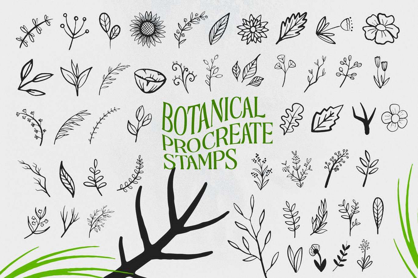 植物花卉主题印章图案笔刷 Botanical Procreate Stamp Brushes插图1 植物花卉主题印章图案笔刷 Botanical Procreate Stamp Brushes