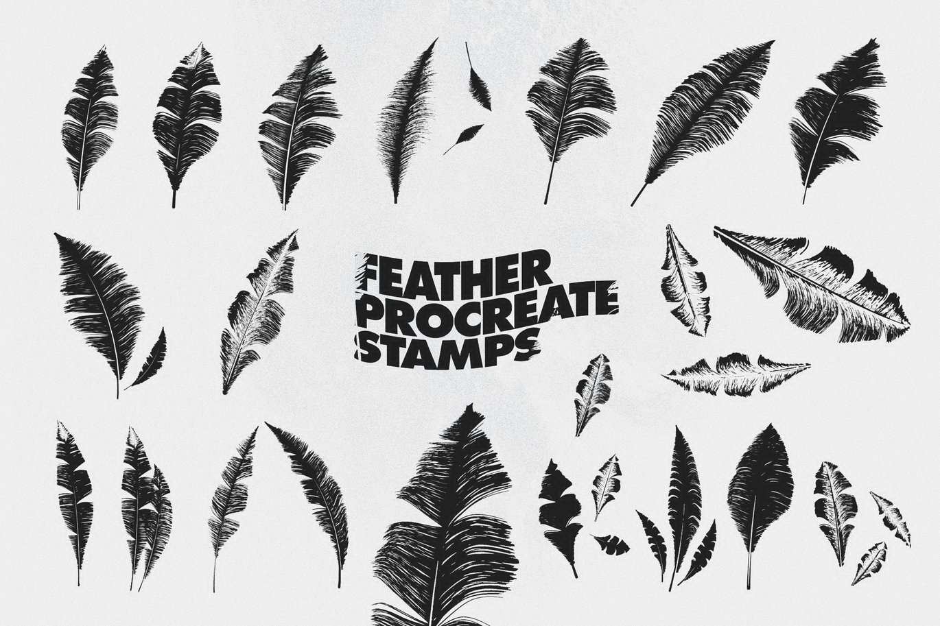羽毛图案印章效果笔刷 Feather Procreate Stamp Brushes插图1 羽毛图案印章效果笔刷 Feather Procreate Stamp Brushes