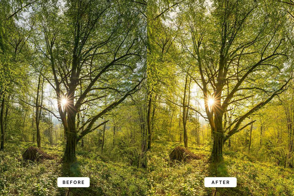 春日清新色调Lightroom预设和PS动作 Spring Tone Lightroom Presets插图1