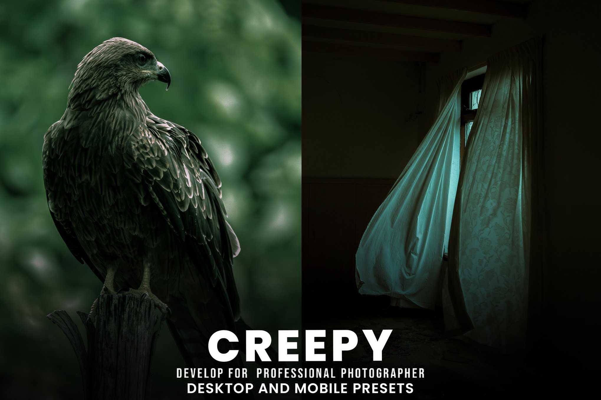暗黑风格桌面与移动端Lightroom预设 Creepy Desktop And Mobile Presets插图 暗黑风格桌面与移动端Lightroom预设 Creepy Desktop And Mobile Presets