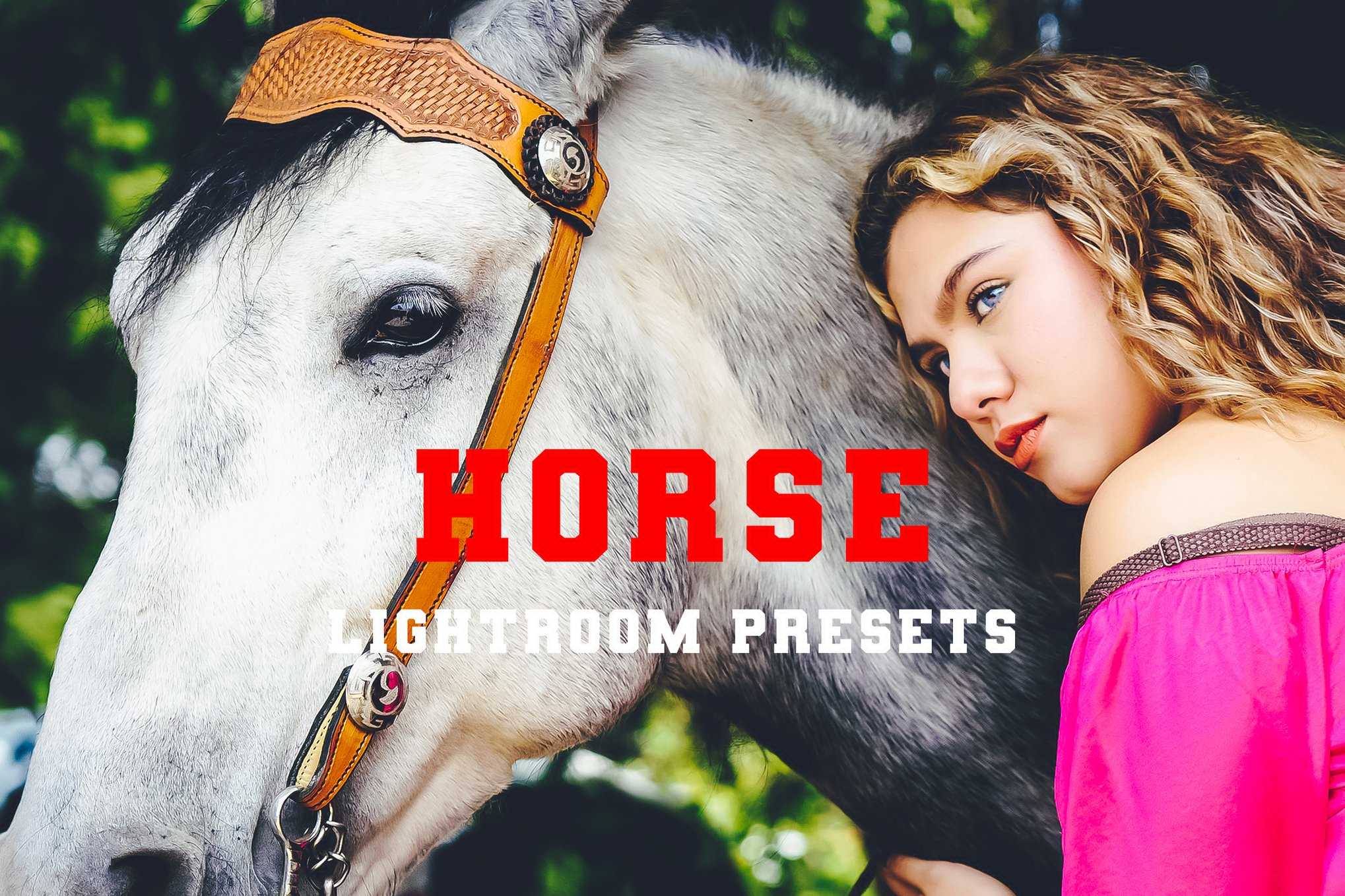 马术摄影专用Lightroom预设 Horse Lightroom Presets插图 马术摄影专用Lightroom预设 Horse Lightroom Presets