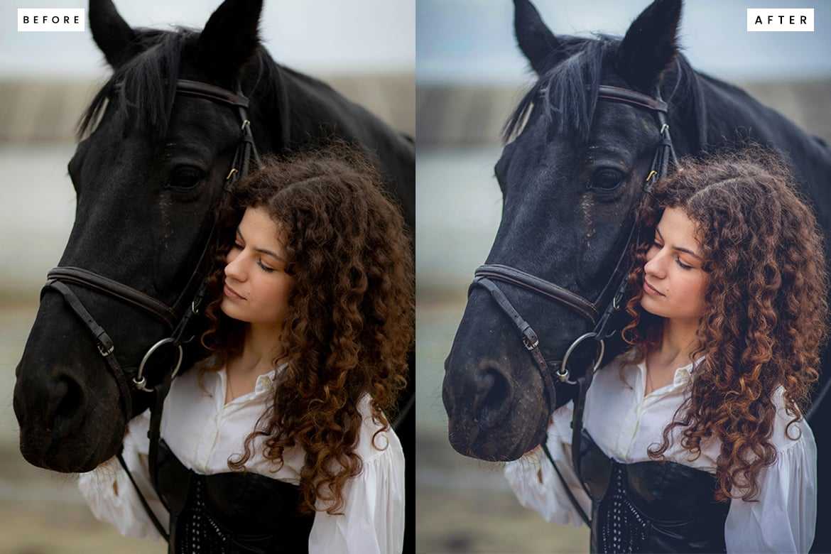 马术摄影专用Lightroom预设 Horse Lightroom Presets插图3 马术摄影专用Lightroom预设 Horse Lightroom Presets