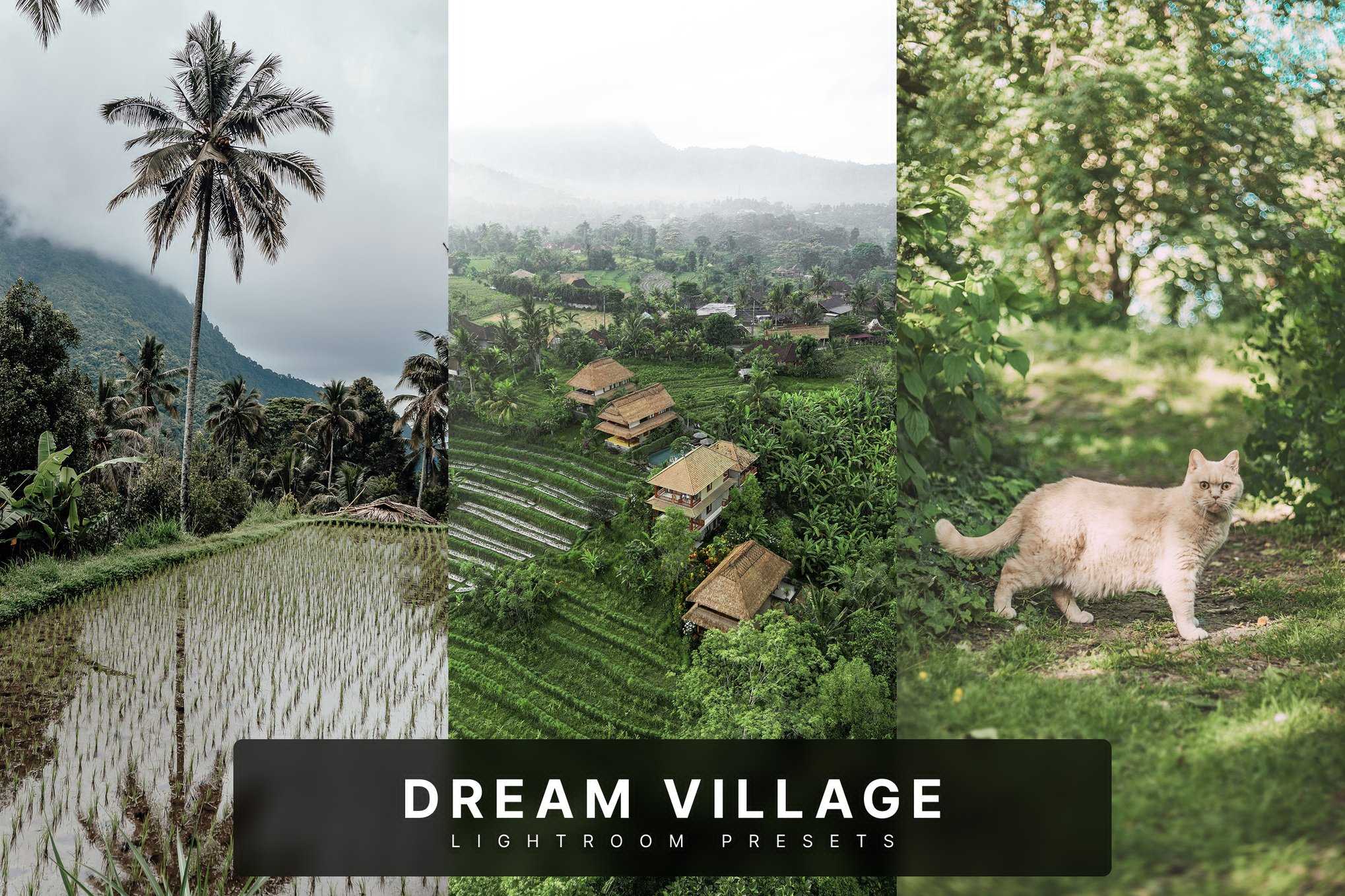 梦幻乡村风格Lightroom预设 Dream Village Lightroom Presets插图 梦幻乡村风格Lightroom预设 Dream Village Lightroom Presets