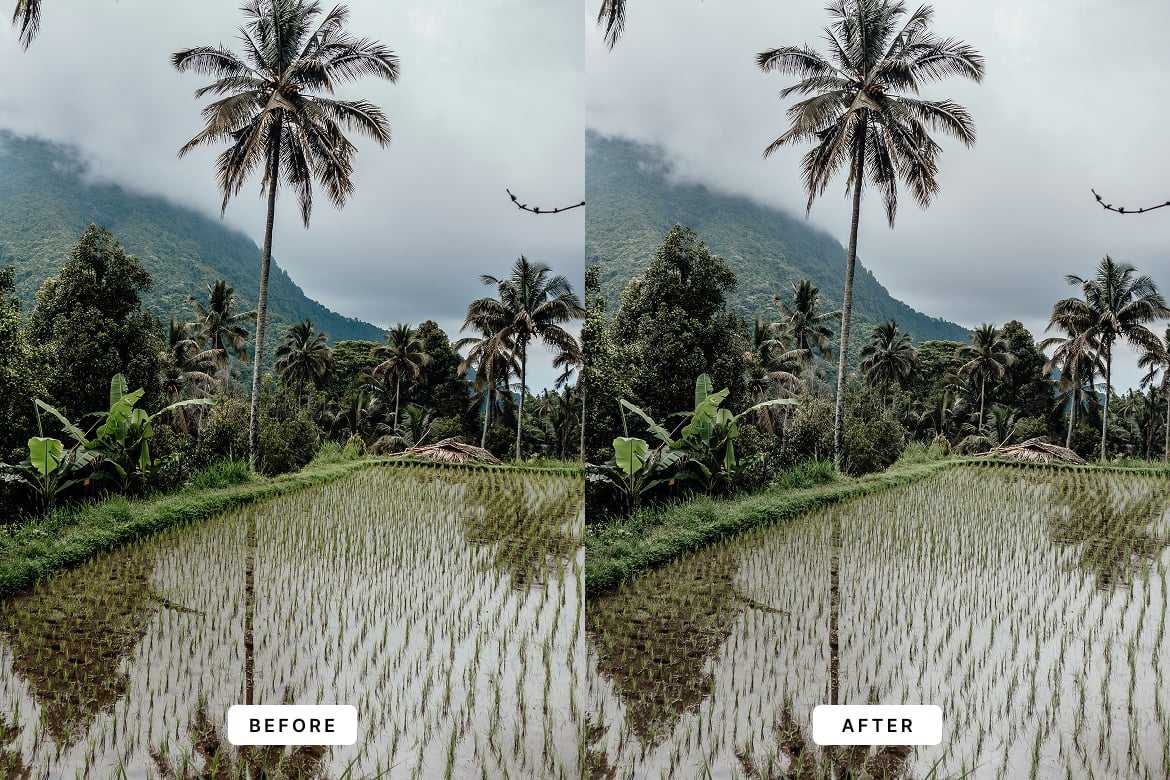 梦幻乡村风格Lightroom预设 Dream Village Lightroom Presets插图3 梦幻乡村风格Lightroom预设 Dream Village Lightroom Presets