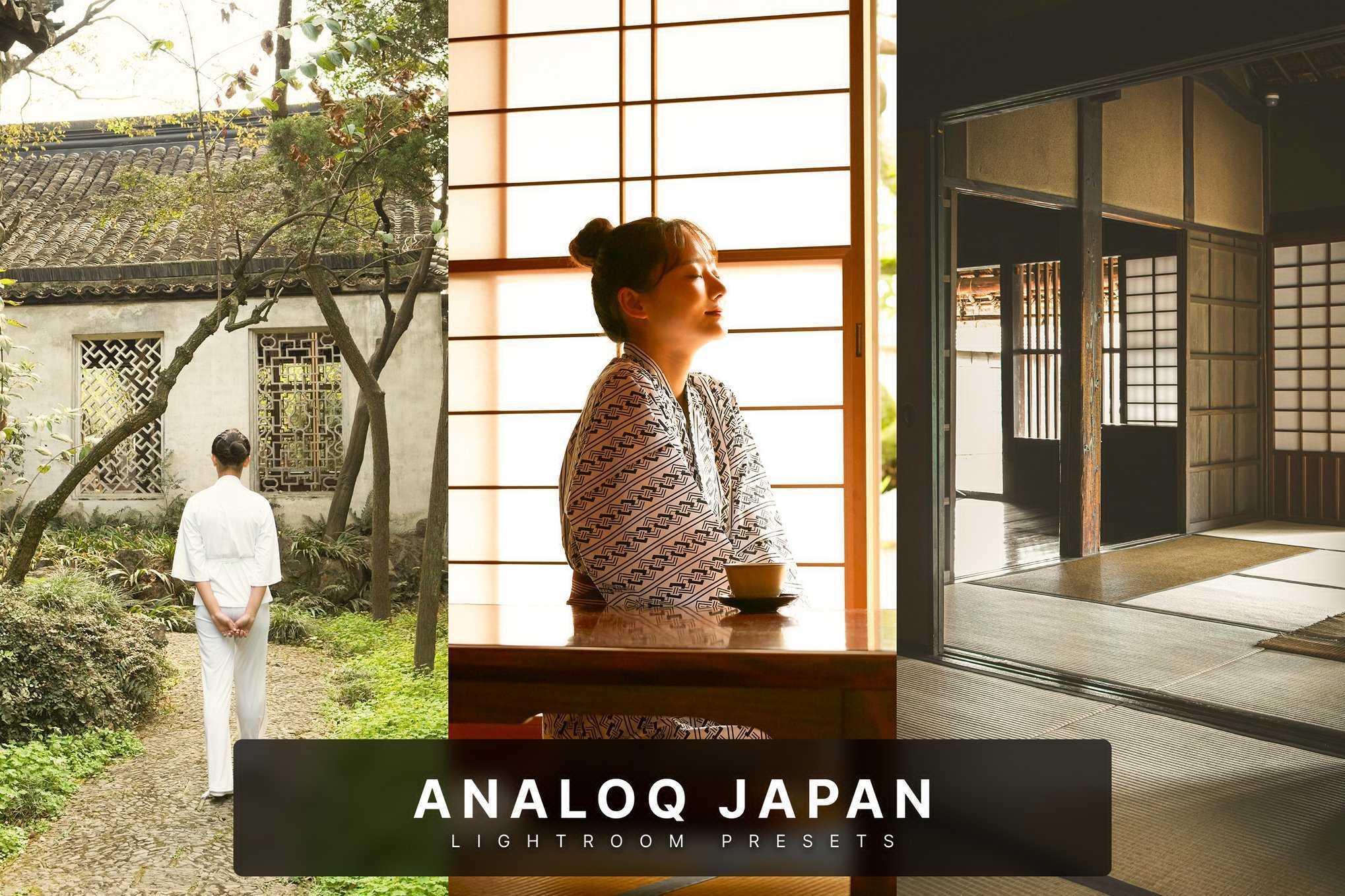 仿胶片日系风格Lightroom预设 Analoq Japan Lightroom Presets