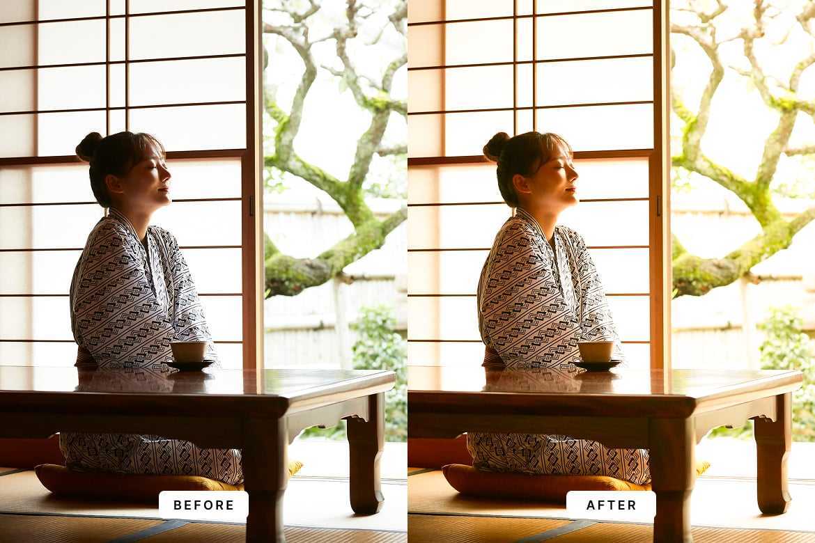 仿胶片日系风格Lightroom预设 Analoq Japan Lightroom Presets