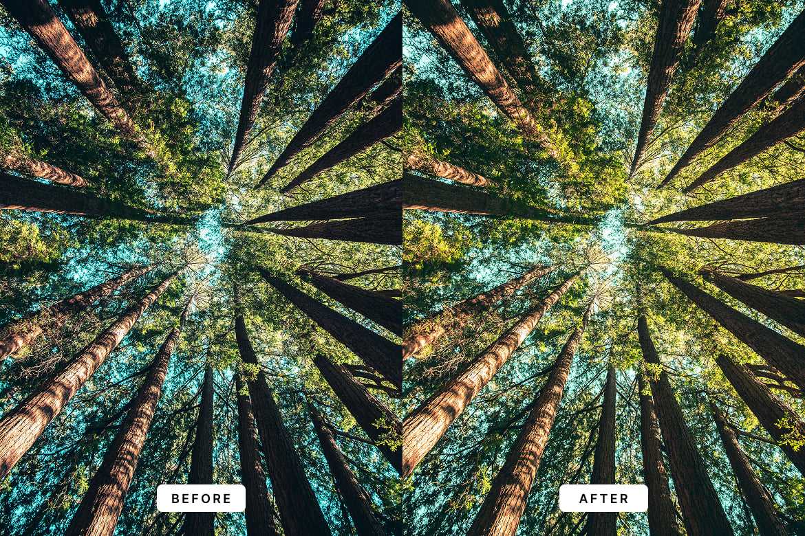 自然风光摄影Lightroom预设 Nature Lightroom Presets插图2 自然风光摄影Lightroom预设 Nature Lightroom Presets