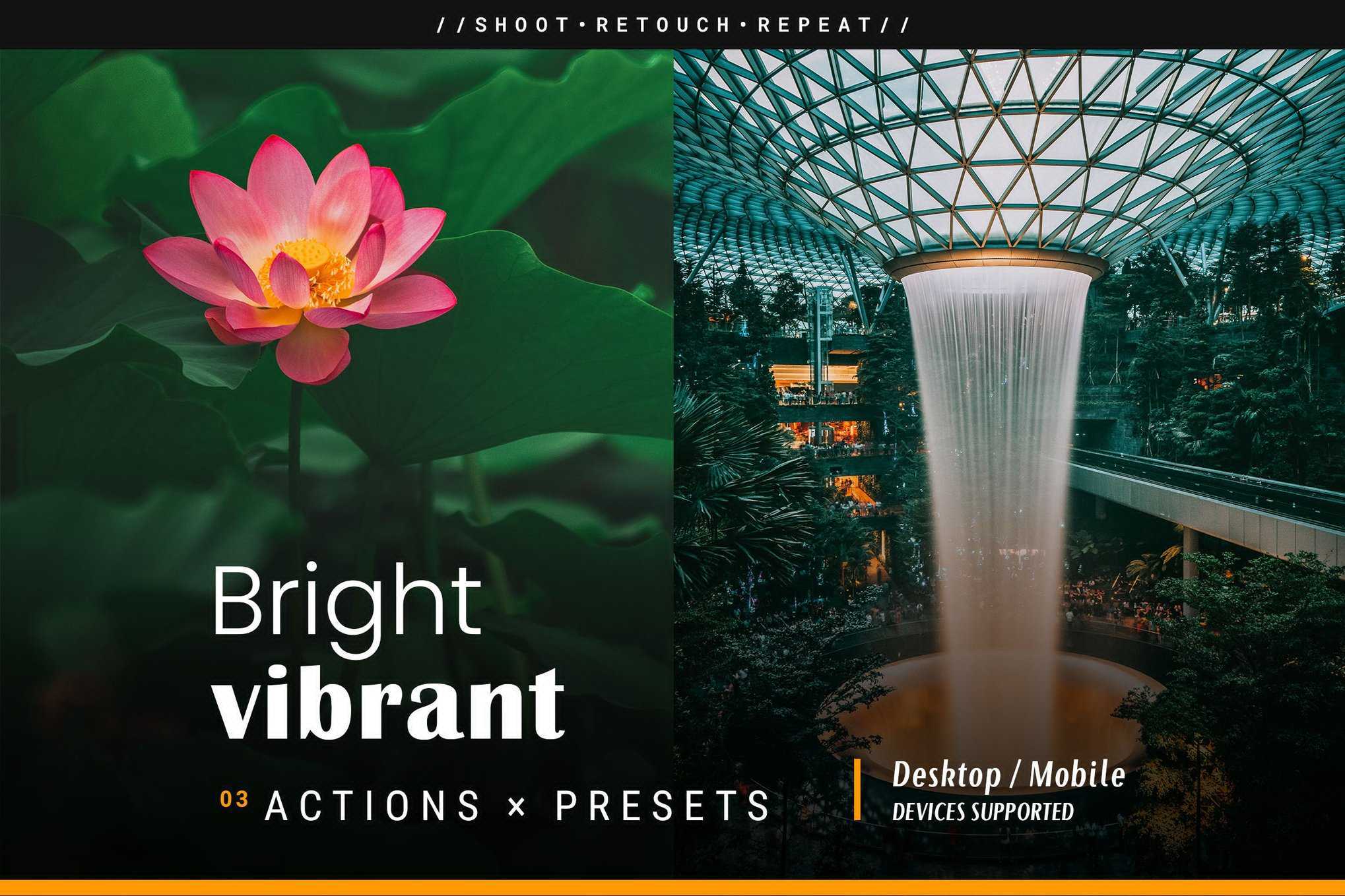 明亮鲜艳活力色彩Lightroom预设 Bright Vibrant Presets插图 明亮鲜艳活力色彩Lightroom预设 Bright Vibrant Presets