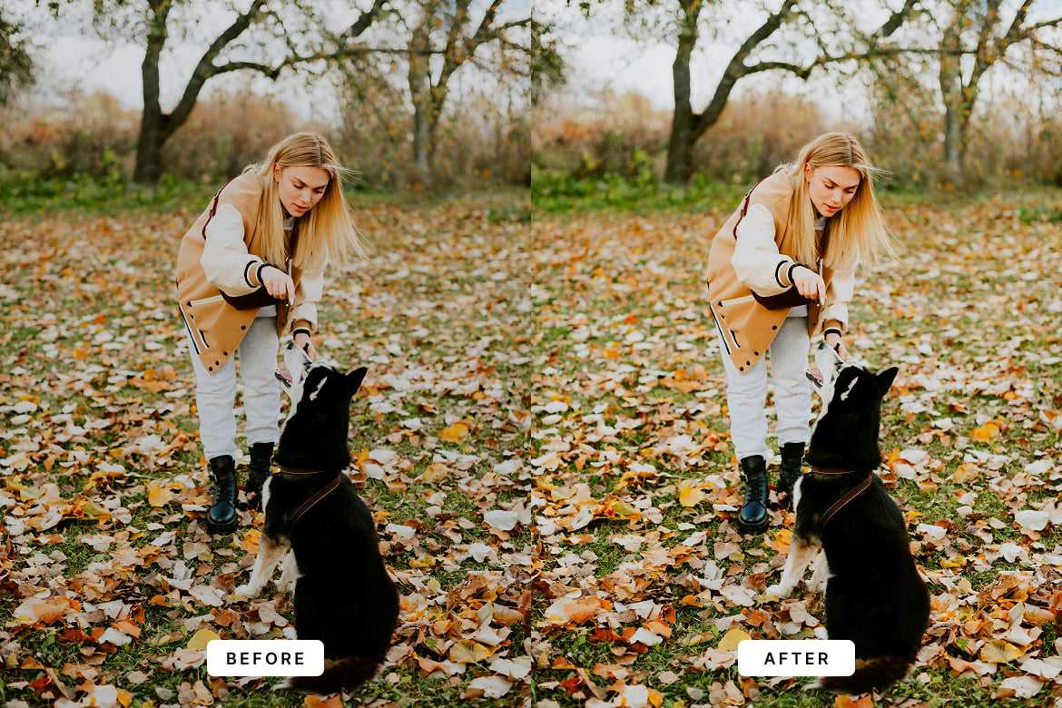 快乐日常氛围Lightroom预设 Happy Day Lightroom Presets插图3 快乐日常氛围Lightroom预设 Happy Day Lightroom Presets