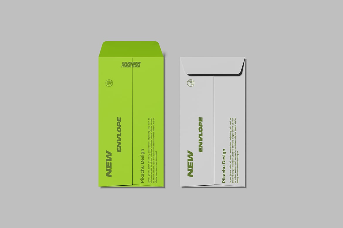 DL尺寸产品手册信封样机 DL Catalog Envelope Mockup