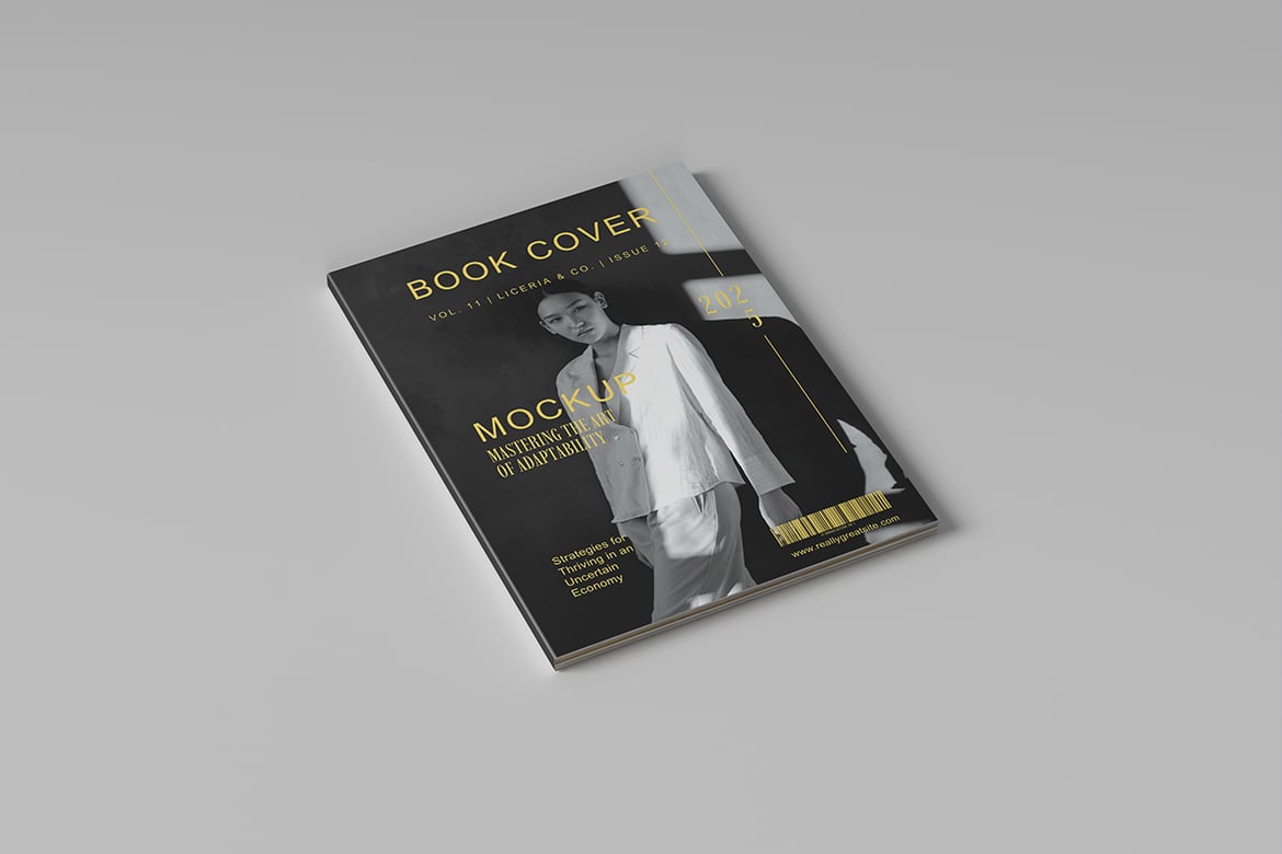 精装书籍封面展示样机 Hardcover Book Mockup