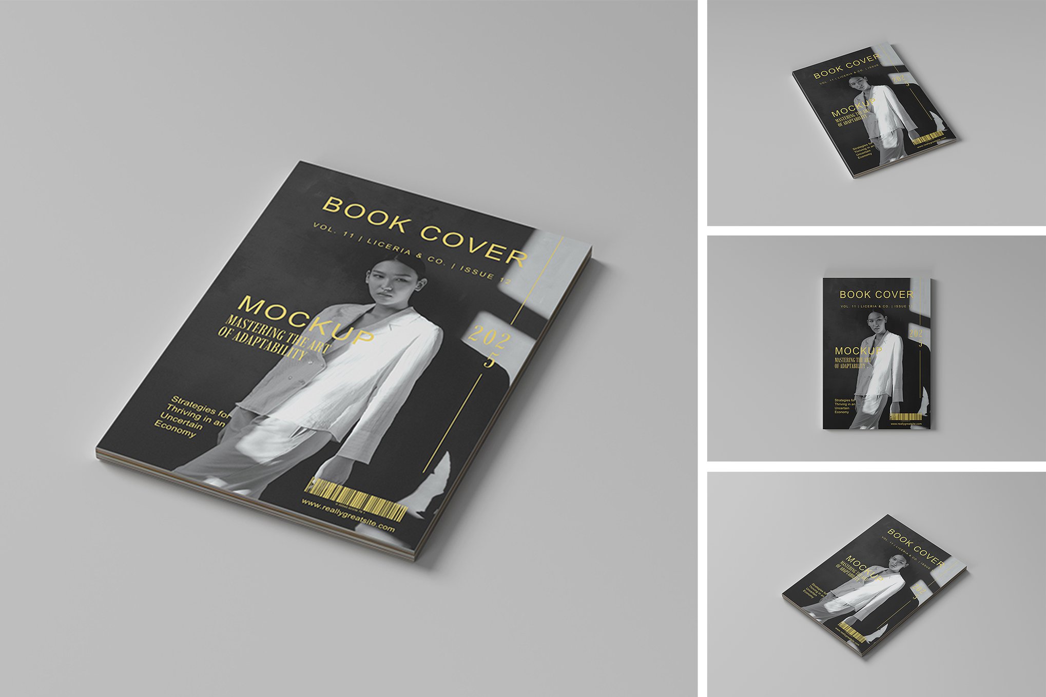 精装书籍封面展示样机 Hardcover Book Mockup