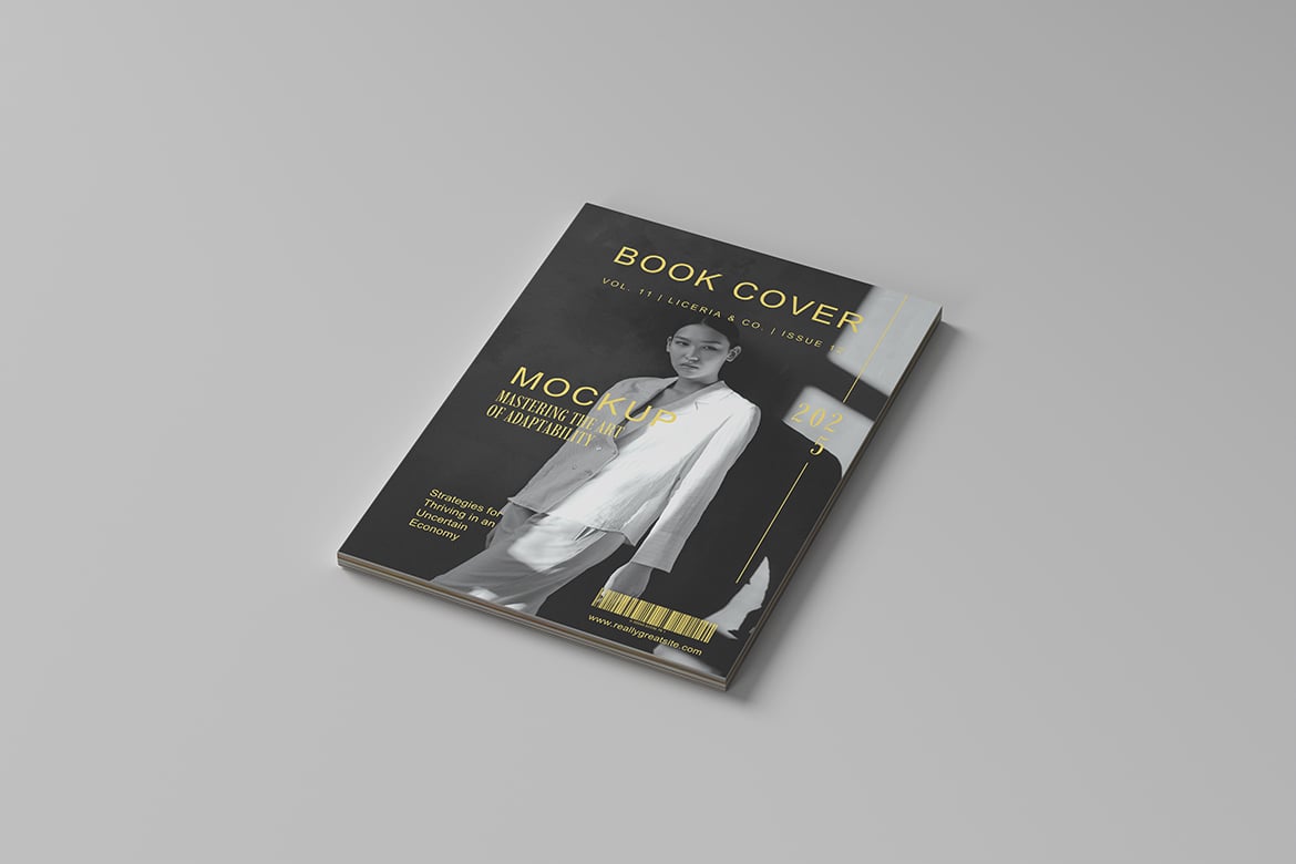 精装书籍封面展示样机 Hardcover Book Mockup