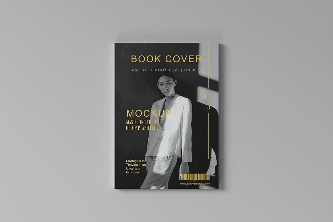 精装书籍封面展示样机 Hardcover Book Mockup