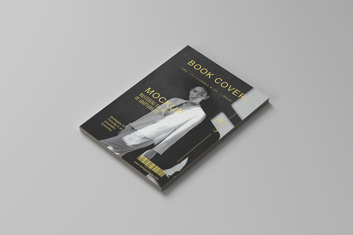 精装书籍封面展示样机 Hardcover Book Mockup