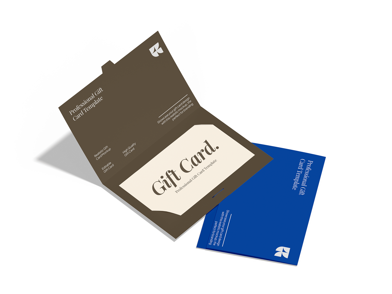 礼品卡设计展示样机 Gift Card Mockup