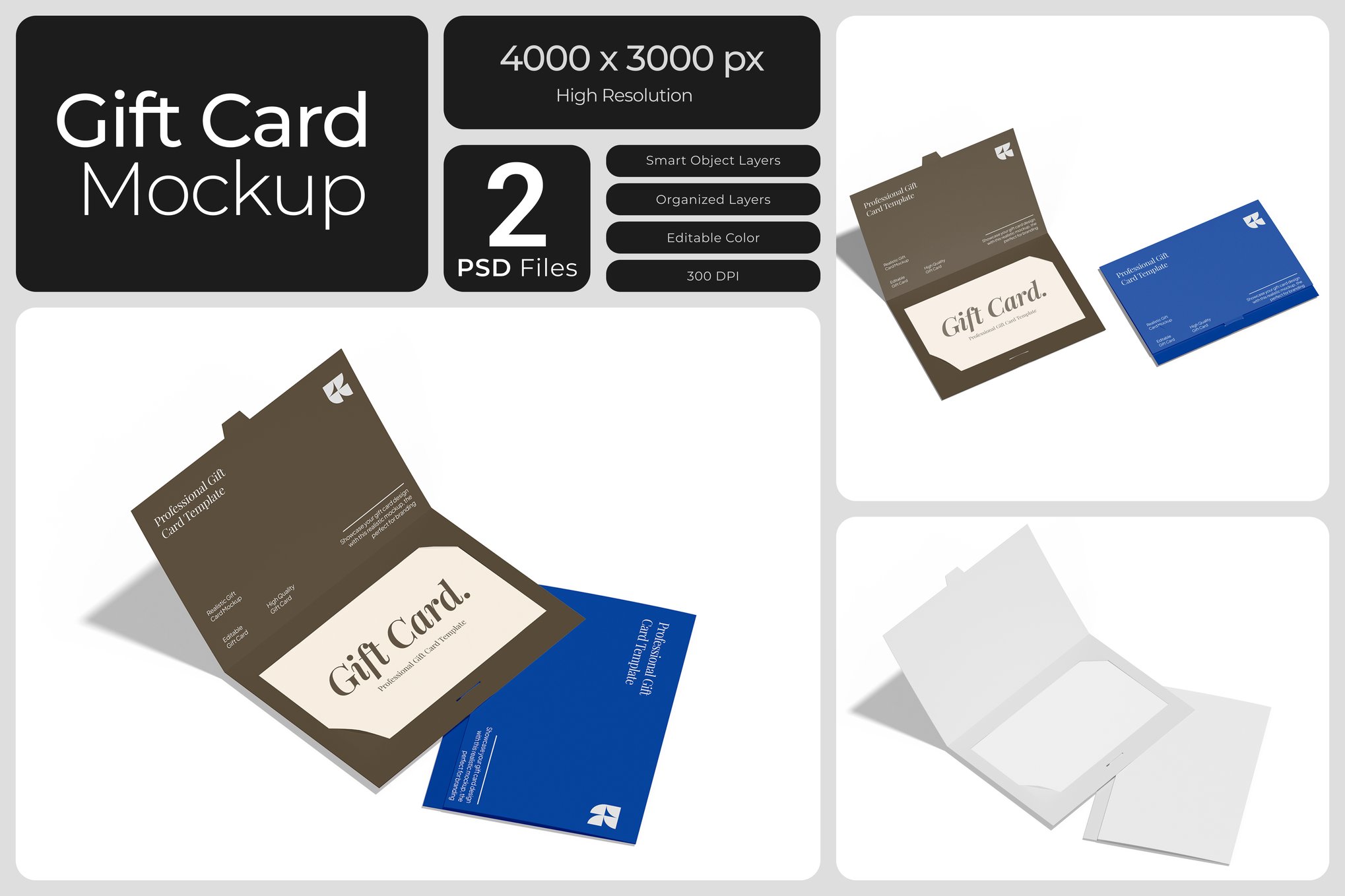 礼品卡设计展示样机 Gift Card Mockup