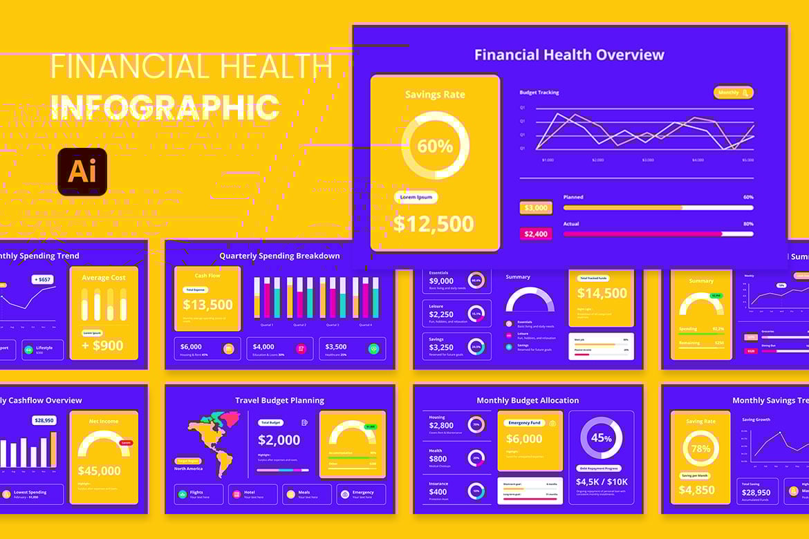 财务健康评估信息图表 Financial Health Infographics
