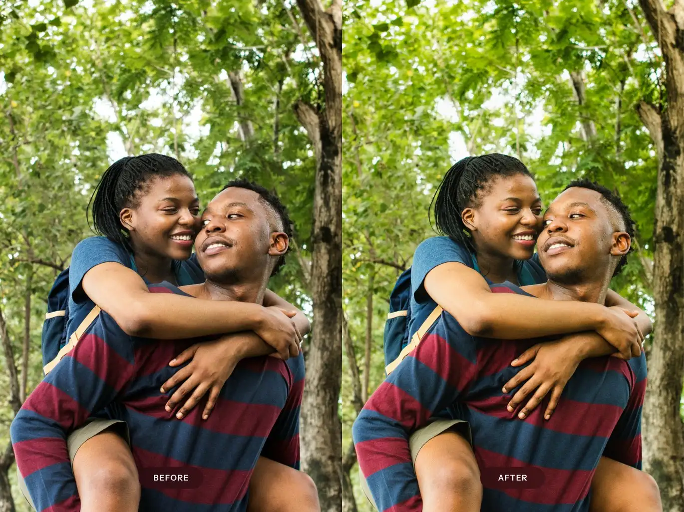 公园情绪暗调Lightroom预设 Park Moody Lightroom Presets