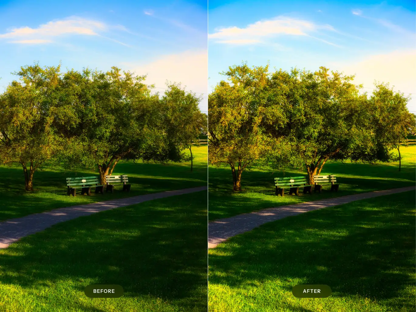 公园情绪暗调Lightroom预设 Park Moody Lightroom Presets