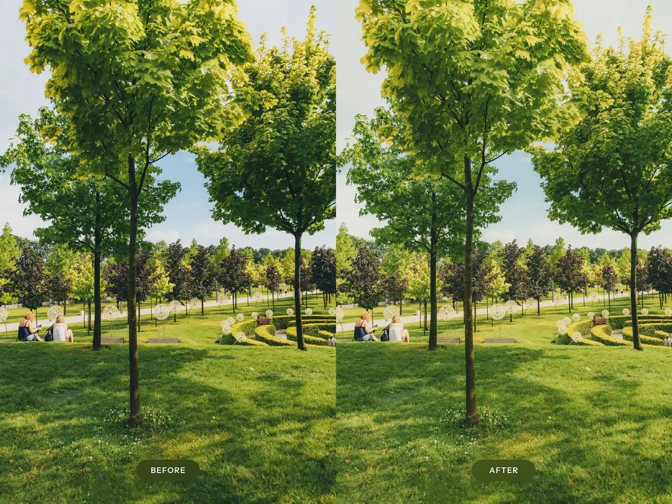 公园情绪暗调Lightroom预设 Park Moody Lightroom Presets