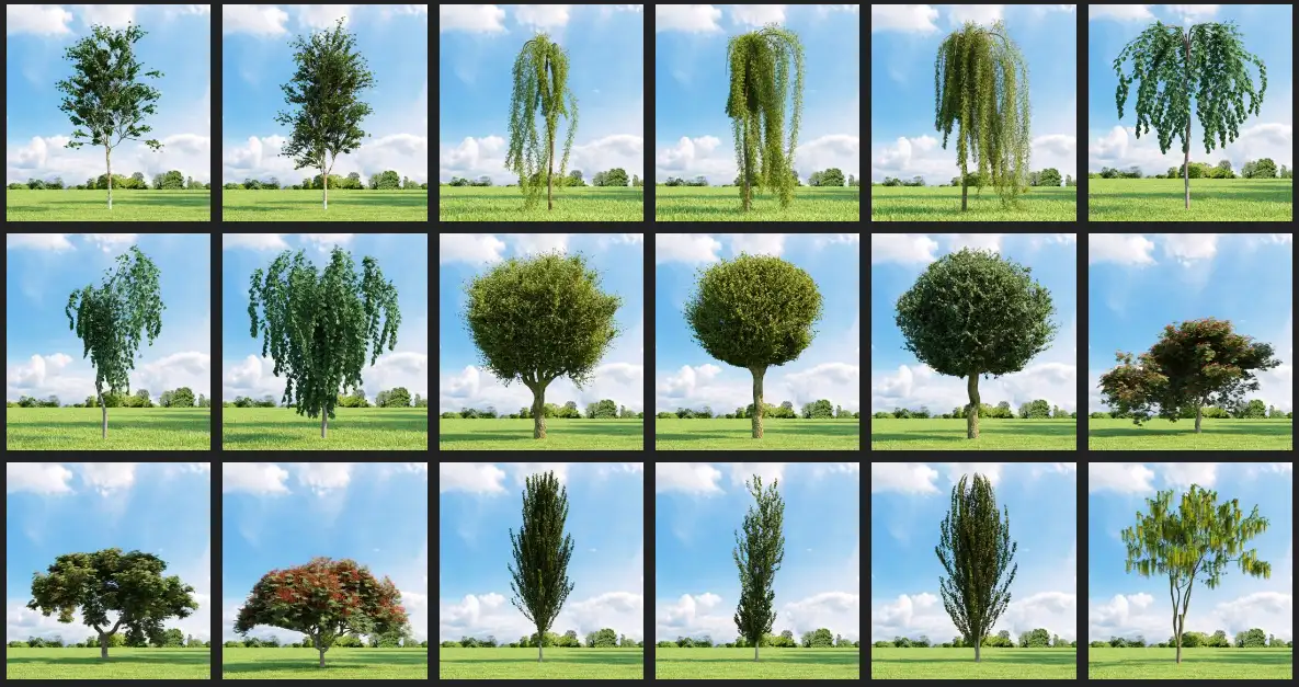 Evermotion – Archmodel.136 树木 3D 模型