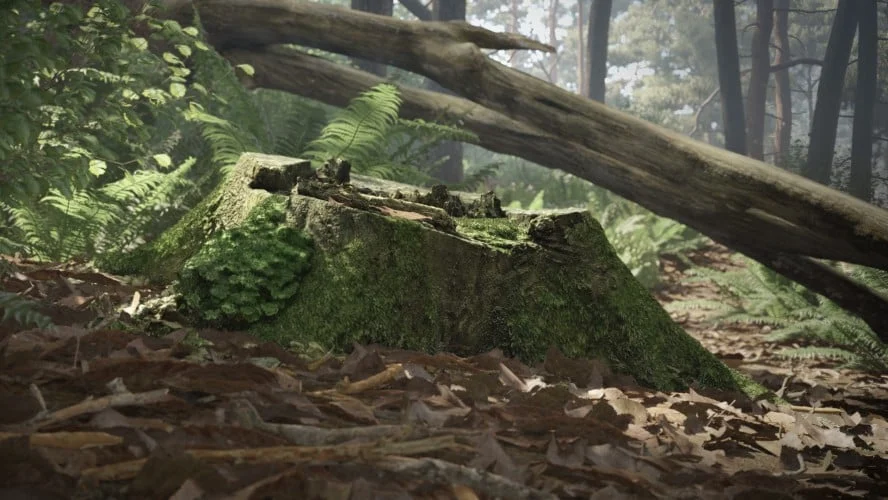 Evermotion – Archmodel.182 森林植物 3D 模型