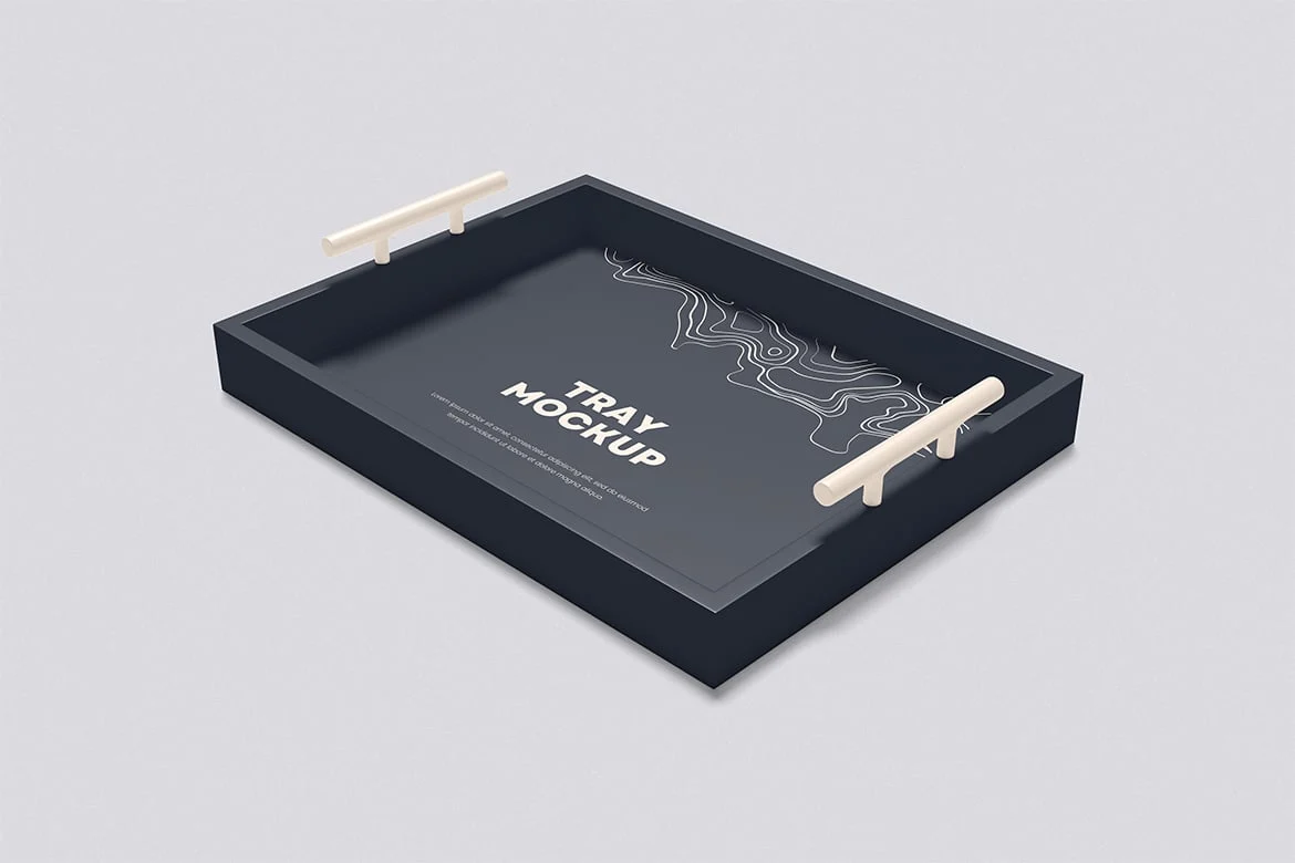 餐盘食品展示样机 Tray Mockup