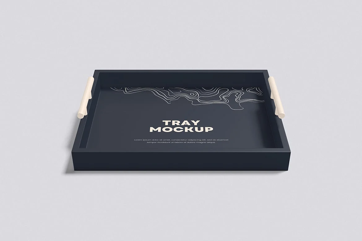 %title插图%num 餐盘食品展示样机 Tray Mockup