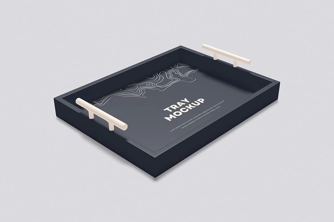 餐盘食品展示样机 Tray Mockup