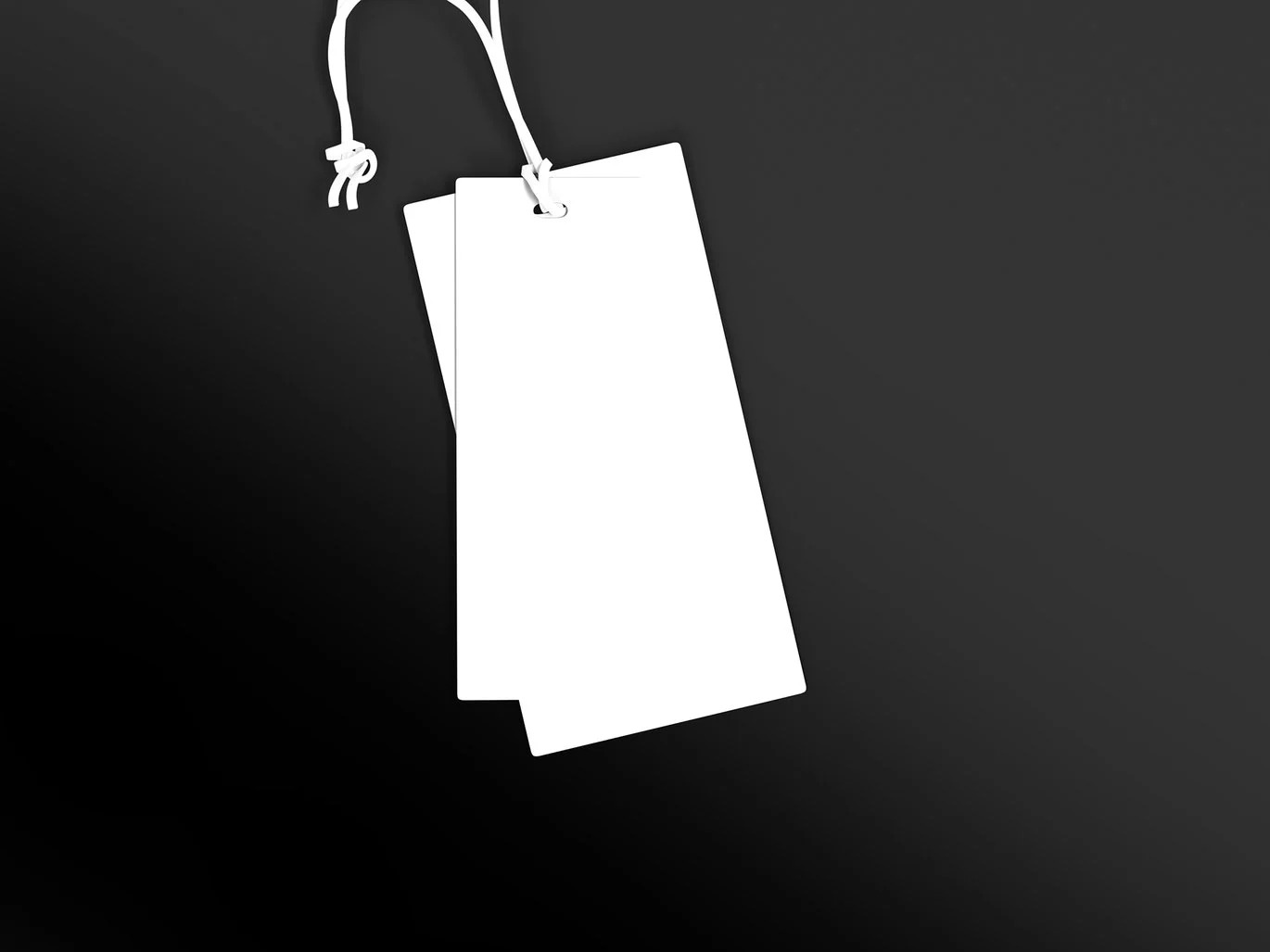 服装吊牌品牌样机套装 Clothing Hang Tag Branding Mockup Set