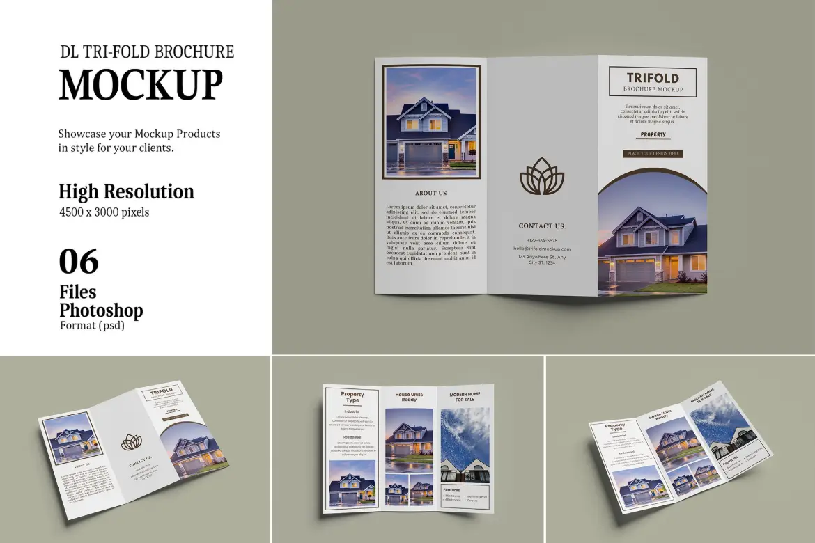 DL尺寸三折页宣传册设计样机 DL Tri-Fold Brochure Mockup