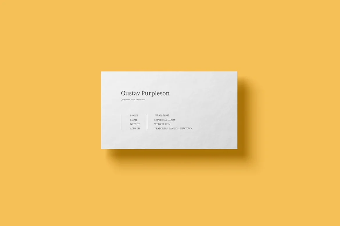 简约商务名片设计展示样机 Business Card Mockup