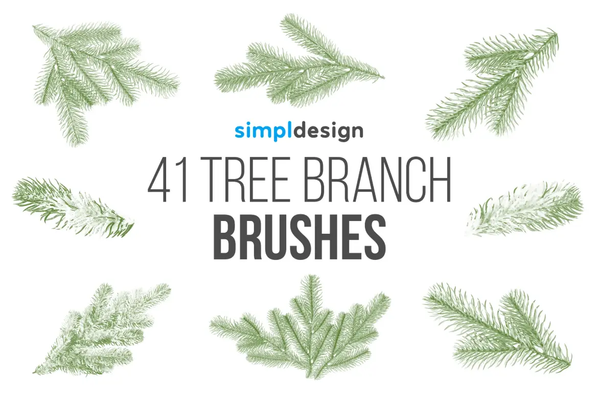 41 支圣诞树枝 Photoshop 画笔