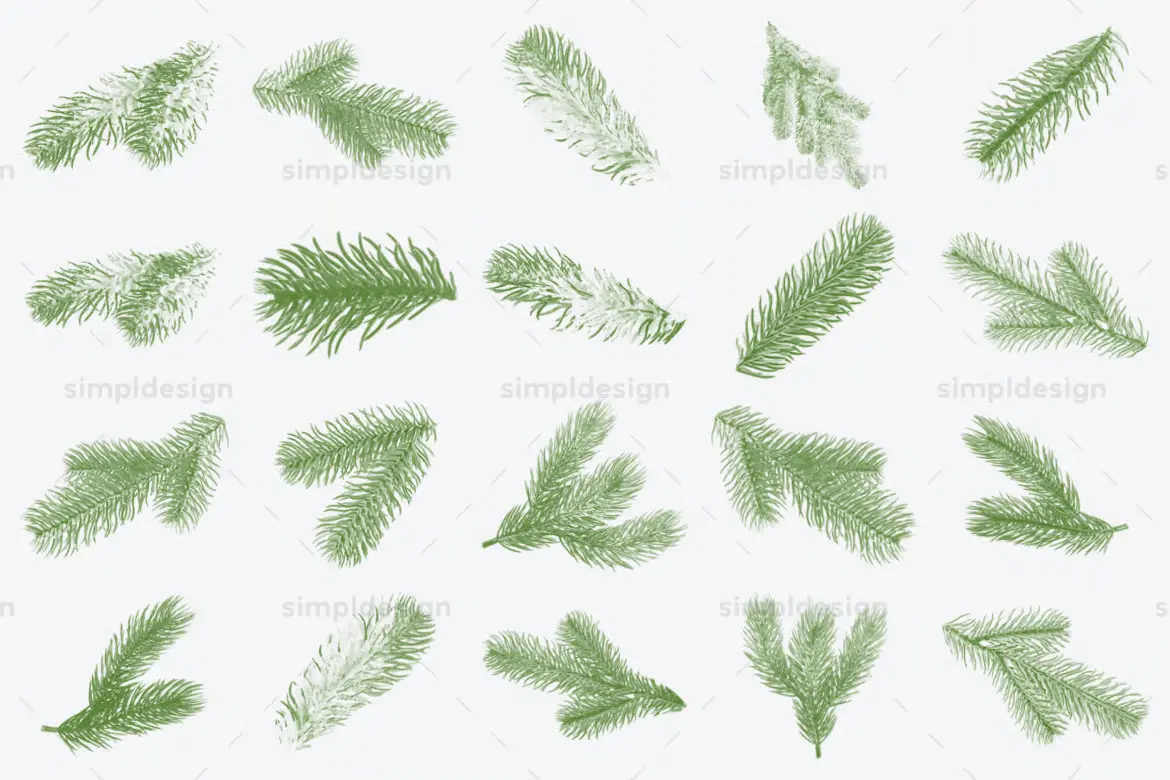 %title插图%num 41 支圣诞树枝 Photoshop 画笔