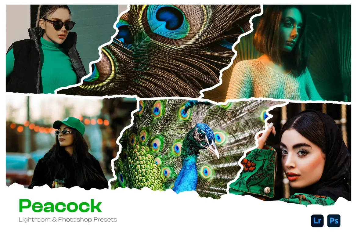 孔雀风格Lightroom 预设