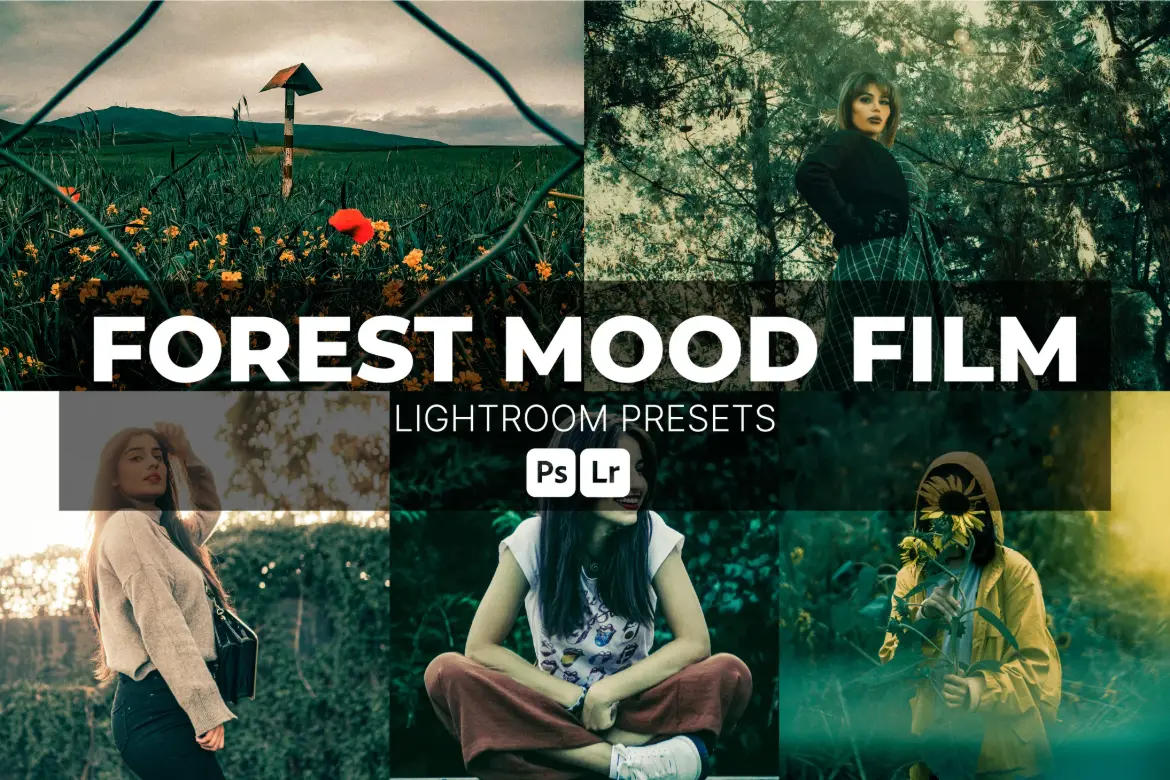 森林氛围电影 Lightroom 预设