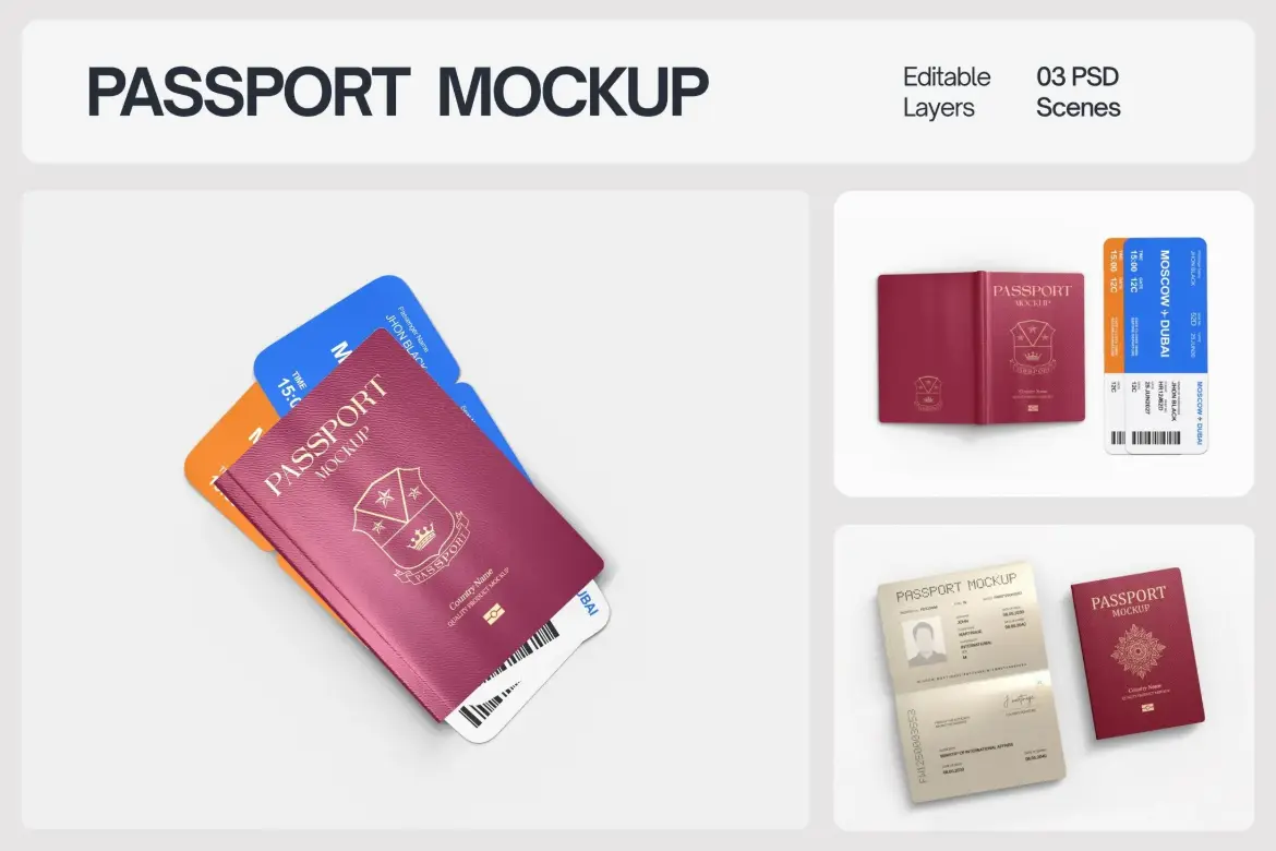国际护照封面模板套装