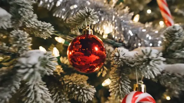 圣诞节Logo演绎AE模板