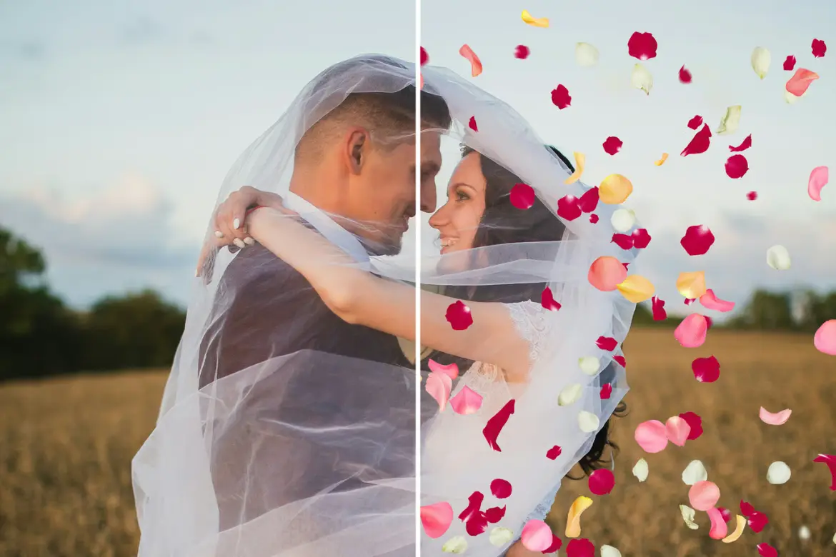 15 个多彩玫瑰花瓣叠加层