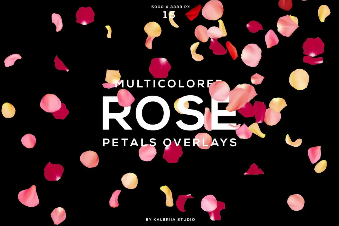 15 个多彩玫瑰花瓣叠加层