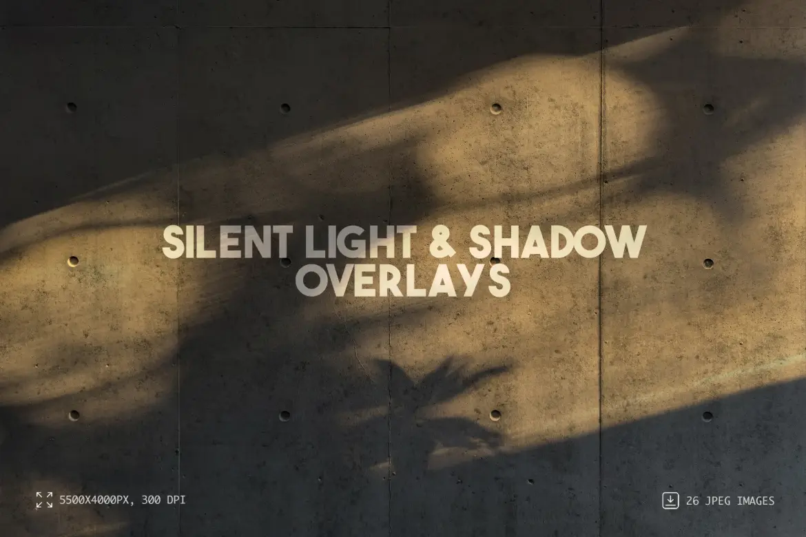 26 张静光与阴影叠加纹理贴图